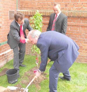 Martin Gorholt (vorn), Hartmut Rubach, Felix Menzel